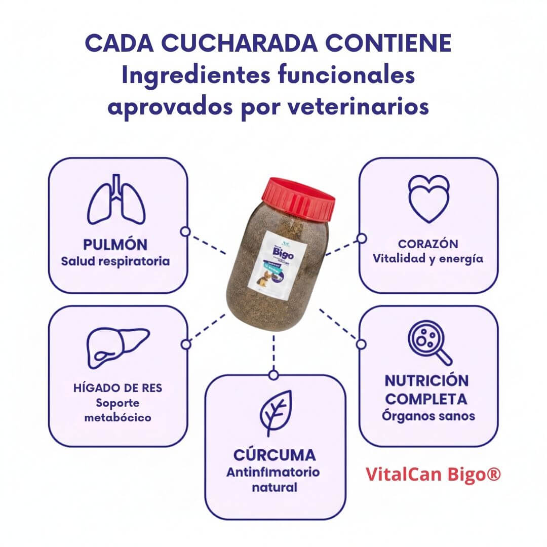 VitalCan Bigo® - Bienestar integral desde el interior