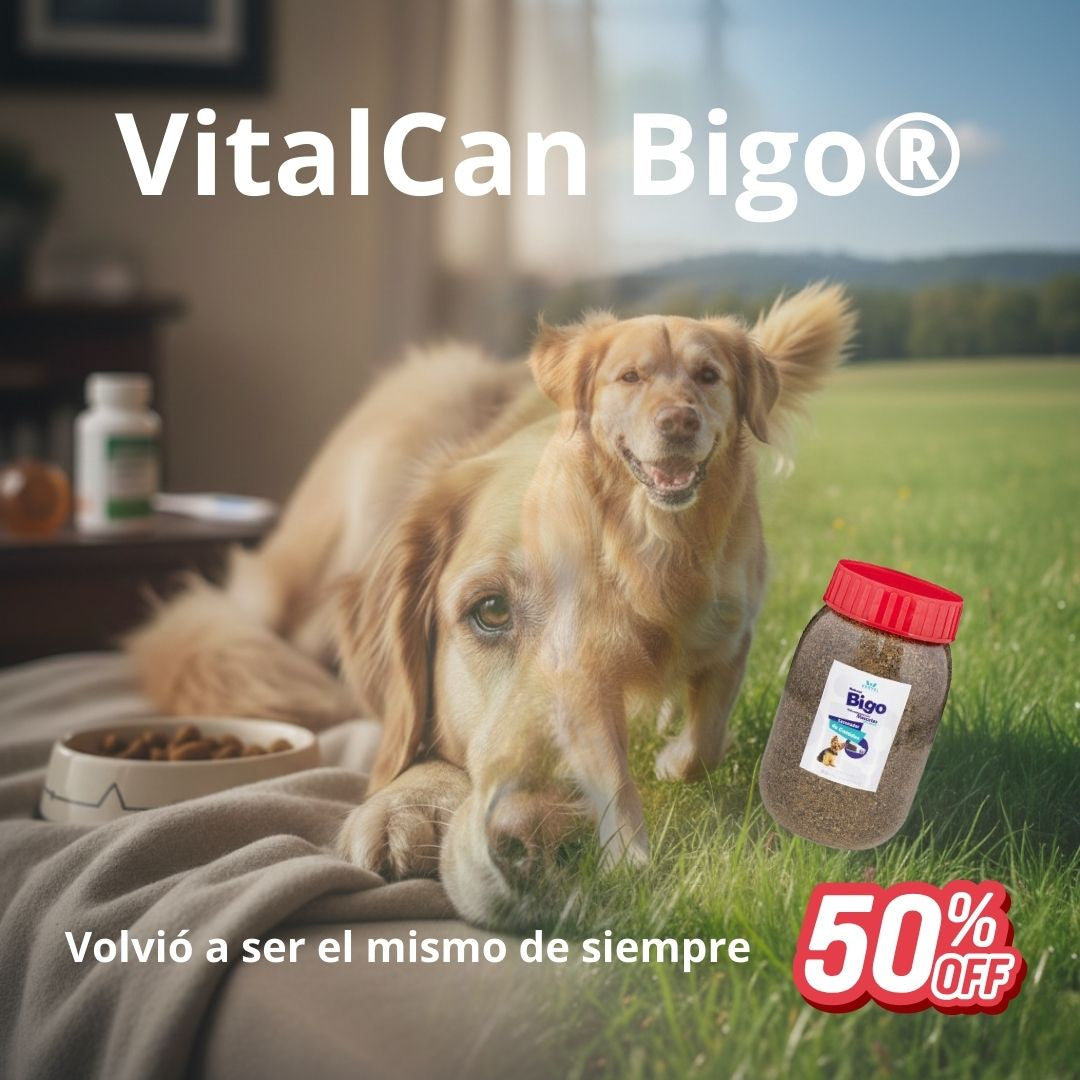 VitalCan Bigo® -  Bienestar integral desde el interior