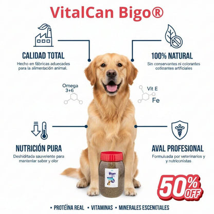 VitalCan Bigo® -  Bienestar integral desde el interior