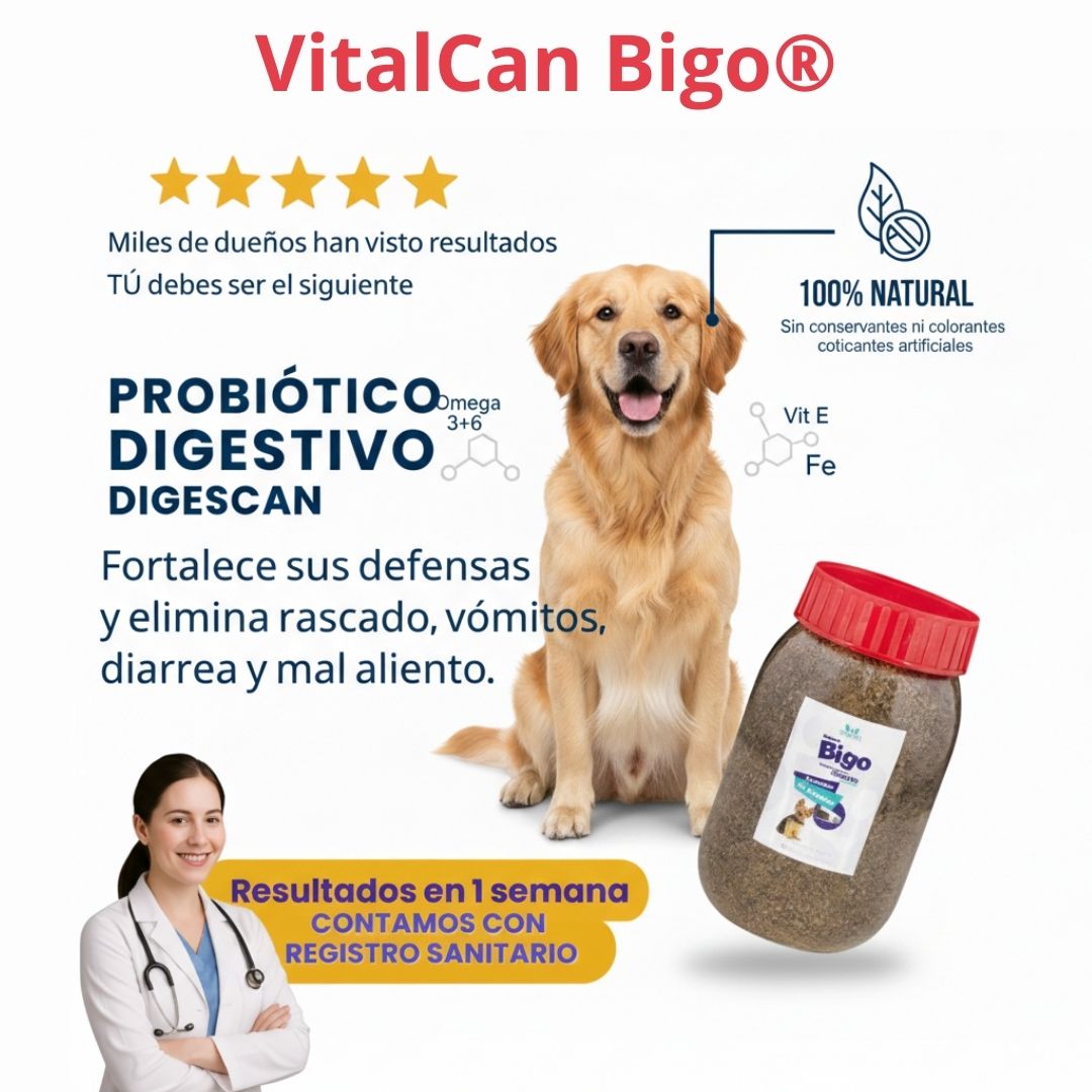 VitalCan Bigo® -  Bienestar integral desde el interior