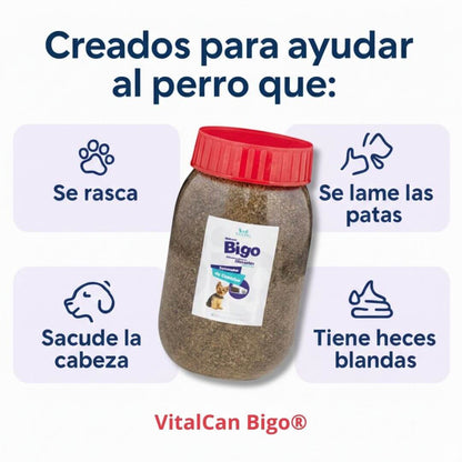 VitalCan Bigo® -  Bienestar integral desde el interior