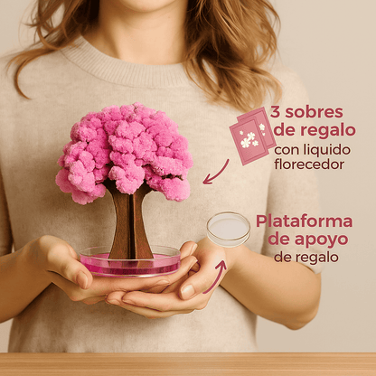 Árbol Mágico Sakura MagicTree™ | 2x1